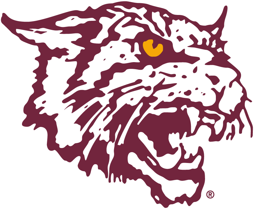 Bethune-Cookman Wildcats 2000-2015 Alternate Logo v2 t shirts iron on transfers